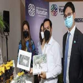 Yucatán, primera región de América Latina que hará uso de lo último en tecnología digital para la conservación del medio ambiente y los animales