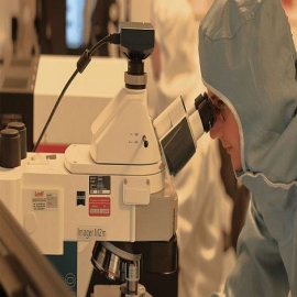 Vacuna para el coronavirus: Experto explica los límites éticos señalados por la Iglesia