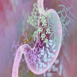 Será mejor que te desparasites, estas bacterias pueden causar depresión: estudio de la UNAM