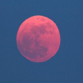 Este martes se podrá ver la Superluna rosa más grande y luminosa del año en Yucatán
