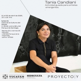 Ofrece Gobierno de Yucatán taller abierto para artistas