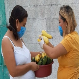 Familias yucatecas reciben apoyos alimentarios a través del proyecto “Yucatán Solidario”