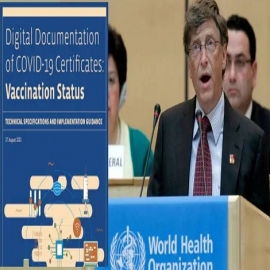 La OMS publicó su guía para la “Certificación Digital de Vacunación”, con financiación de las fundaciones Gates y Rockefeller