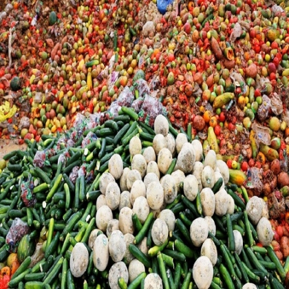 Los alimentos básicos desaparecerán en 30 años, según exchef de la Casa Blanca