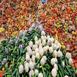 Los alimentos básicos desaparecerán en 30 años, según exchef de la Casa Blanca