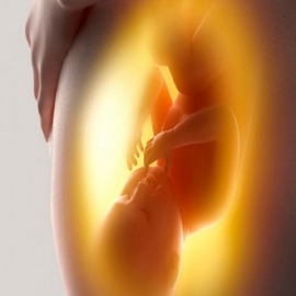 Vinculan el aborto con el satanismo: ‘Templo Satánico’ abre una clínica abortista en Nuevo México