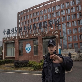 El gobierno de Estados Unidos no pudo rastrear 8 millones de dólares en subvenciones que pudieron acabar en el laboratorio de Wuhan