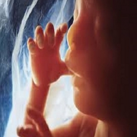 La ley del latido del corazón en Texas salvó a 50.000 bebés del aborto
