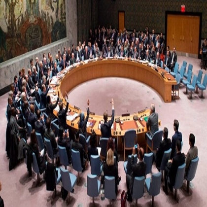 El consejo de seguridad de la ONU y la cuestión de los biolaboratorios en Ucrania