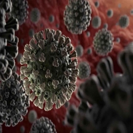 Farmacéuticas anuncian vacuna y prueba rápida contra covid-19