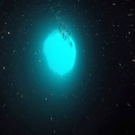 Científicos de EE.UU. explorarán un misterioso agujero azul de 130 metros de profundidad cerca de Florida