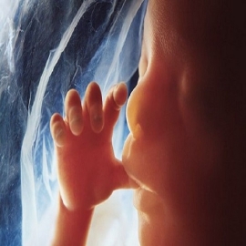 Denuncian a Pfizer por usar células fetales humanas para sus vacunas
