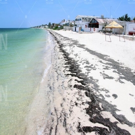 Playas solitarias y retenes en comunidades costeras por contingencia sanitaria