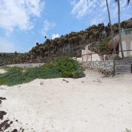 Investigan construcción de una mansión de un empresario, y un hotel propiedad de Roberto Palazuelos, en área protegida de Tulum