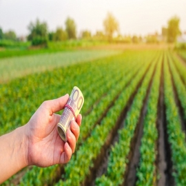 Los agricultores alemanes advierten de una subida de precios en los alimentos "sin precedentes" en el marco de la crisis ucraniana