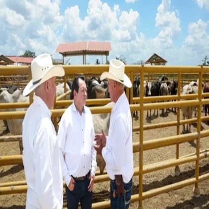RENACIMIENTO MAYA IMPULSA EL CAMPO CON MECANIZACIÓN, RIEGO E INSEMINACIÓN ARTIFICIAL PARA GANADO