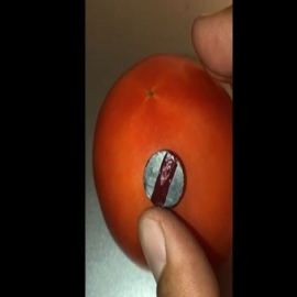 Surge la gran bomba: Magnetismo también en los alimentos