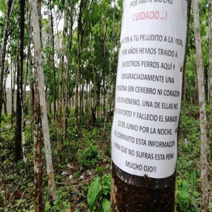 Playa del Carmen: Advierten de envenenamiento de animales en parque del fraccionamiento Natura
