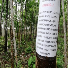 Playa del Carmen: Advierten de envenenamiento de animales en parque del fraccionamiento Natura
