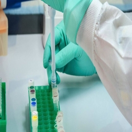 Científicos encuentran una biomolécula que "neutraliza completa y específicamente" el coronavirus
