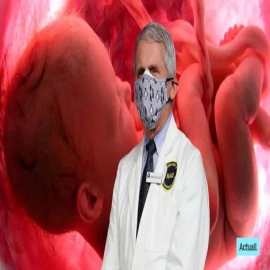 Exigen investigar experimentos con fetos abortados que involucran a Fauci