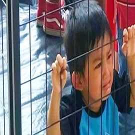 “Es muy perturbador”: Gobierno de Biden pierde contacto con más de 4.800 niños ingresados ilegalmente entre enero y mayo