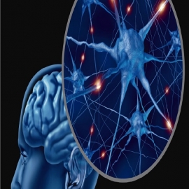 Desarrollan nanopartículas que podrán controlar todos los rincones de nuestro cerebro