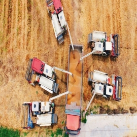 La ONU advierte que la crisis alimentaria actual puede desembocar en una catástrofe global en 2023