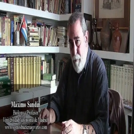 Dr. Máximo Sandín: «La repetida aparición de virus ‘quimera’ no ha sido por accidente»