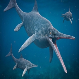 Los restos de un ictiosaurio 'demasiado' antiguo sitúan su origen antes de los dinosaurios (FOTOS)