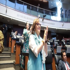 El Senado de México aprueba reformas para sancionar la violencia vicaria
