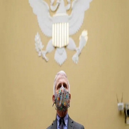 'Científicos locos jugando a ser Dios': El gobernador de Florida pide que se despida a Fauci por los experimentos 'peligrosos y crueles' con perros