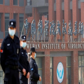 Documentos filtrados: reportaje asegura que covid-19 era un arma biológica china que se ‘fugó’