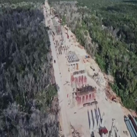 TRIBUNAL INTERNACIONAL DE LOS DERECHOS DE LA NATURALEZA PIDE SE SUSPENDA EL TREN MAYA