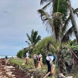 Chetumal: Retiran más de 95 kilos de basura en zona de anidación de tortugas marinas