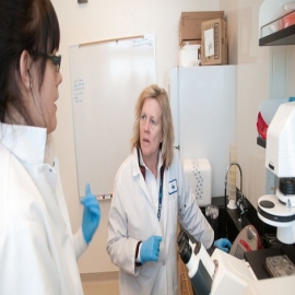 Judy Mikovits, la viróloga estadounidense que afirma que el coronavirus es una farsa