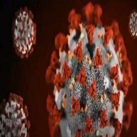 Ejecutivo senior en Texas ER Chain revela la verdadera razón del aumento en los casos de coronavirus