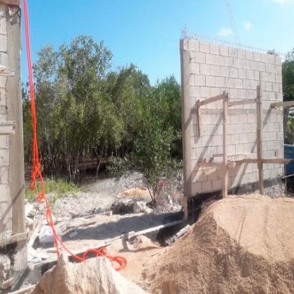Delito ambiental: vecinos denuncian tala de mangle en Holbox