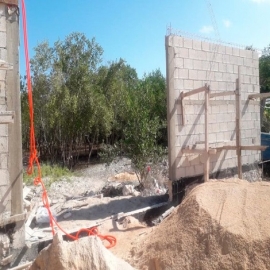 Delito ambiental: vecinos denuncian tala de mangle en Holbox