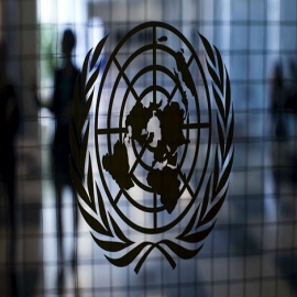 Experta de la ONU alerta: “Sabemos que el sexo biológico es masculino y femenino. Y no hay más”