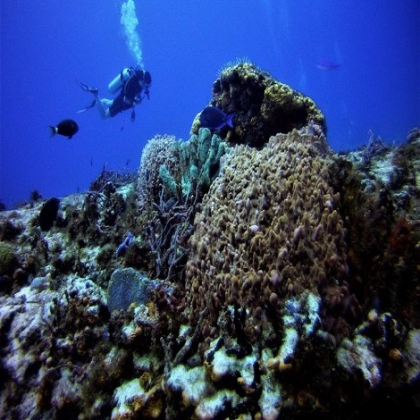 Acapara Federación recursos que generan bellezas de Cozumel