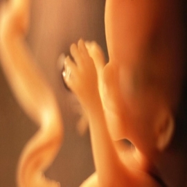 Carolina del Norte ratifica la prohibición del aborto a partir de la semana doce de embarazo