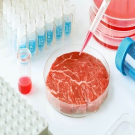 Cómo las carnes cultivadas en laboratorio son una herramienta costosa y poco saludable