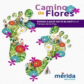 Camino de Flores 2019 - 5° Edición